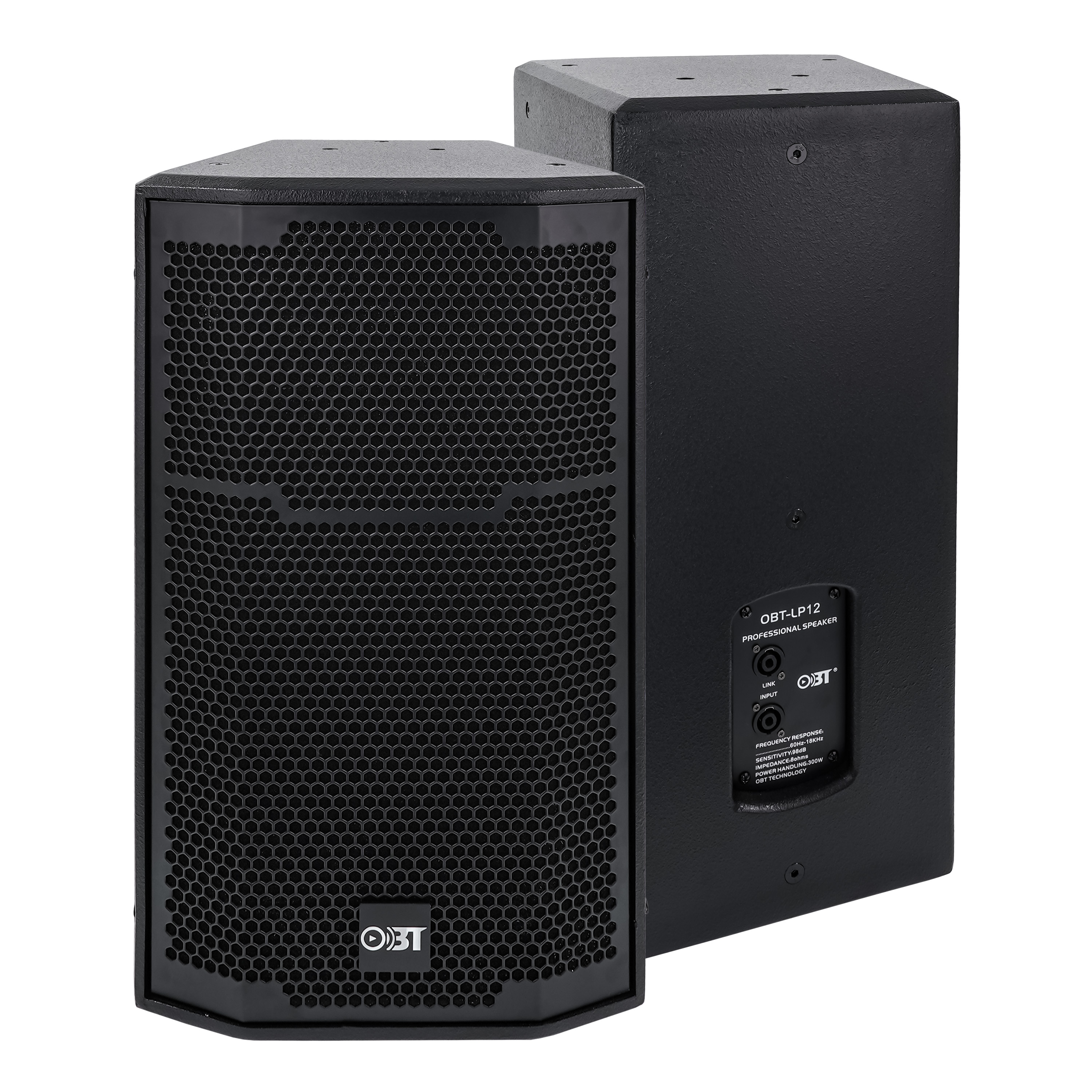 12寸會議音箱 OBT-LP12